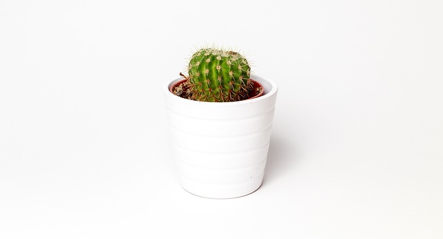 Moderne minimalisme vs. Vintage detaljer: Hvad appellerer mest?