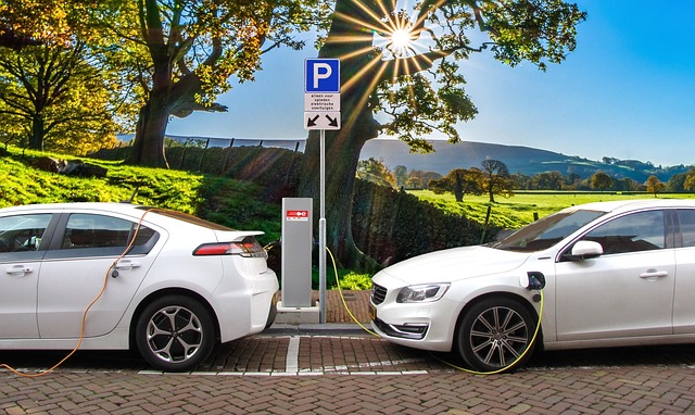 Sådan undgår du faldgruber, når du køber en brugt tesla